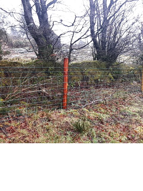 NPI Fencing Sheepwire 3