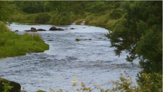 Upland Watercourse