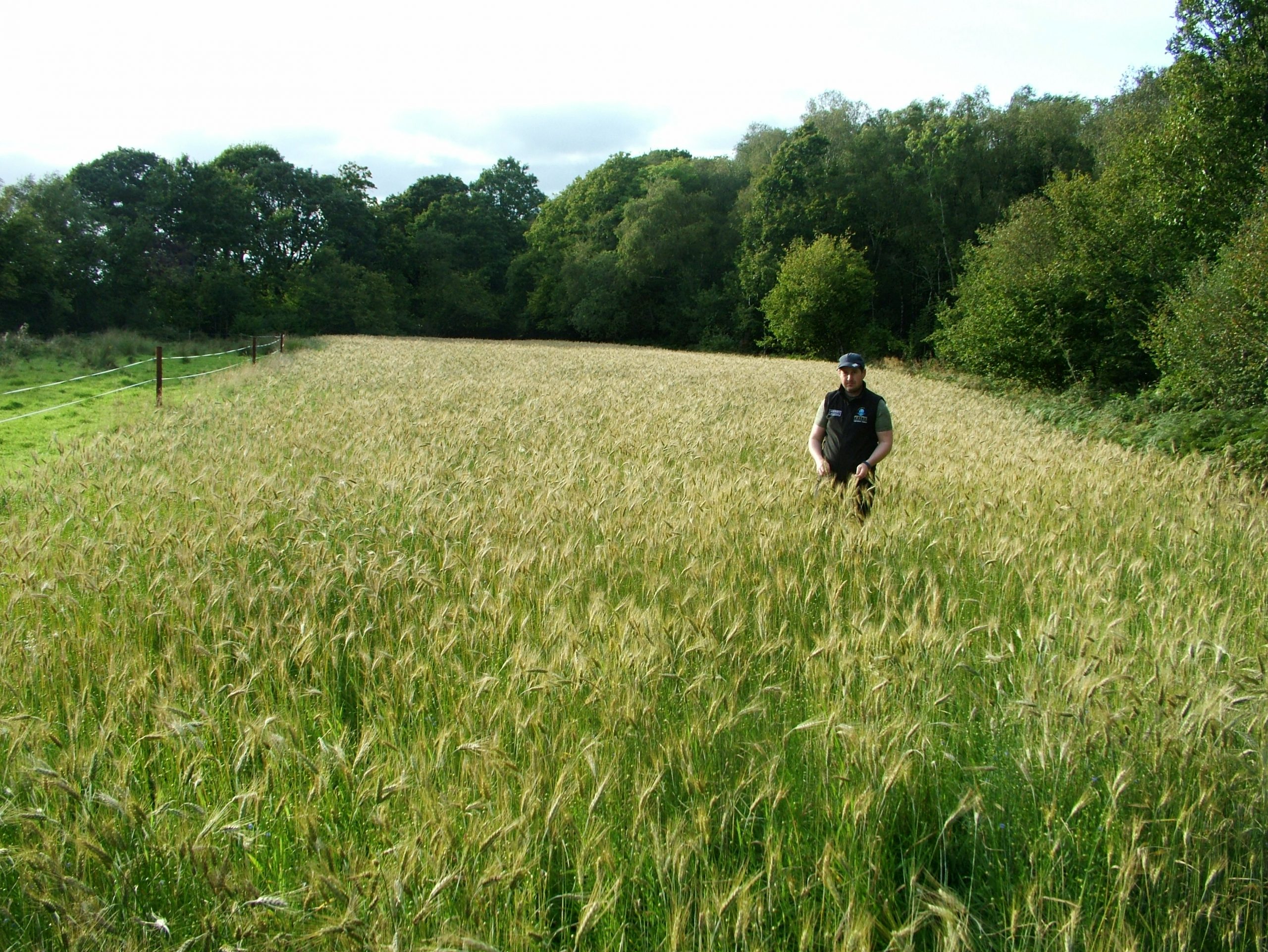 WBC Open Day Cordal 2019 1 (26)